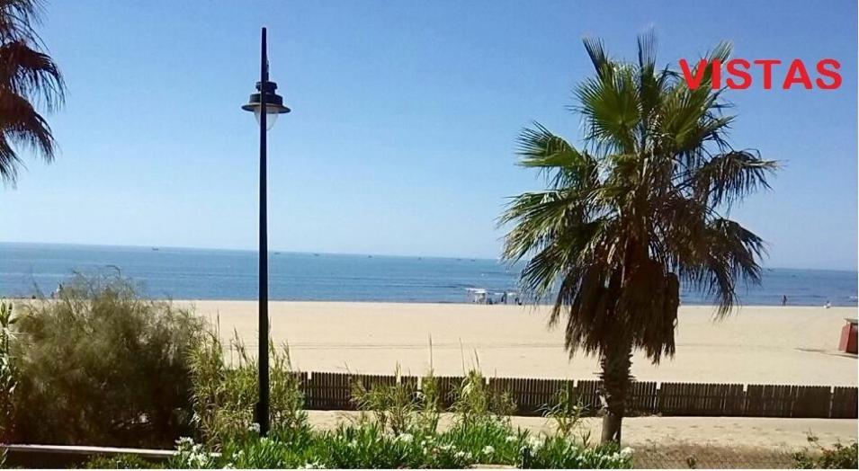 Alcaudon Daire Isla Canela Dış mekan fotoğraf
