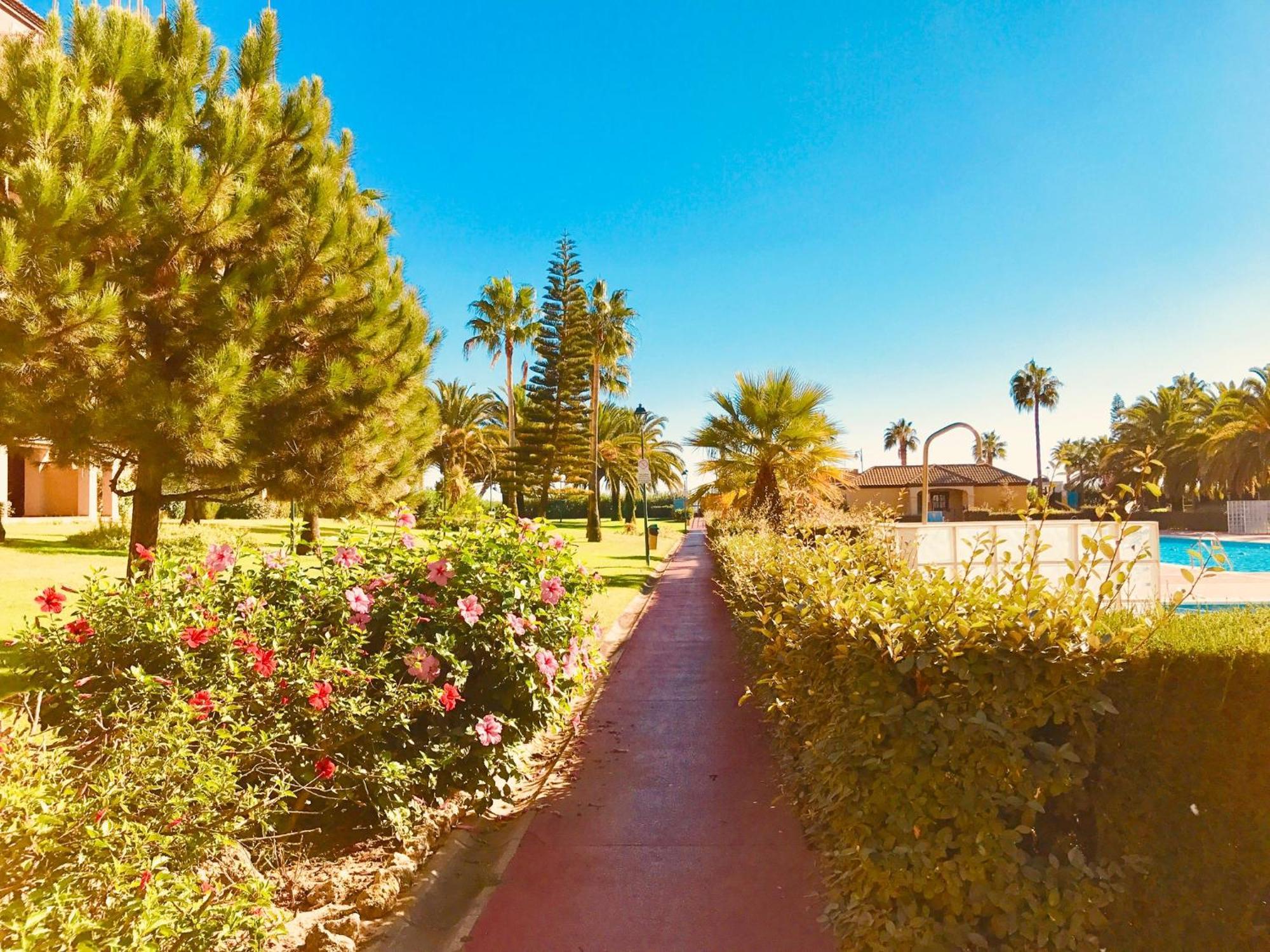 Alcaudon Daire Isla Canela Dış mekan fotoğraf